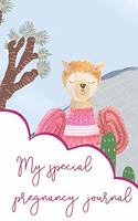 My Special Pregnancy Journal