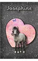 Dapple Dreams Josephine: Wide Ruled Composition Book Diary Lined Journal