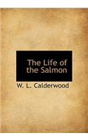 The Life of the Salmon