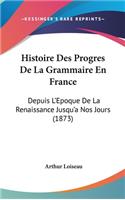 Histoire Des Progres De La Grammaire En France: Depuis L'Epoque De La Renaissance Jusqu'a Nos Jours (1873)