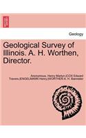 Geological Survey of Illinois. A. H. Worthen, Director. Volume III.