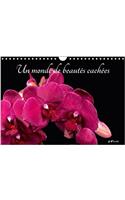 Monde De Beautes Cachees 2018