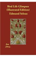 Bird Life Glimpses (Illustrated Edition)
