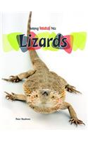 Lizards