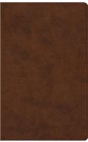 ESV Prayer Bible (Trutone, Brown)