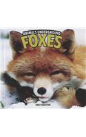 Foxes