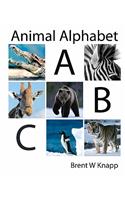 Animal Alphabet