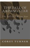 The Fall Of a Rising Star