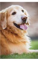 Happy Golden Retriever Dog Journal: 150 Page Lined Notebook/Diary