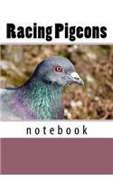 Racing Pigeons