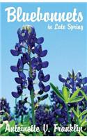 Bluebonnets in Late Spring