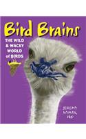 Bird Brains