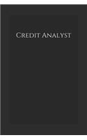 Credit Analyst