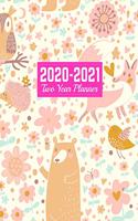 2020-2021 Two Year Planner: Handy Calendar Year Vision Planner (January 2020 - December 2021) - Monthly and Weekly Schedule Organizer and Journal - Art Cover 00023190