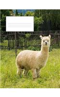 Composition Notebook - 100 Pages: Alpaca Animal Cover Composition Notebook for Kids, Cool Books for Teens, Boys, Girls - Wide Ruled, Note Taking or Writing Book, Journal, Diary, Plan