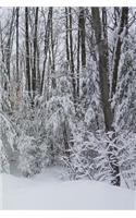 2019 Daily Planner Winter Snowy Forest Scene 384 Pages: (Notebook, Diary, Blank Book)(2019 Planners Calendars Organizers Datebooks Appointment Books Agendas)