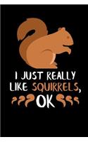I Just Really Like Squirrels, Ok