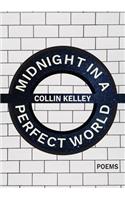 Midnight in a Perfect World