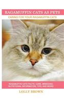 Ragamuffin Cats As Pets