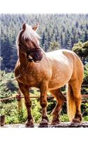 Horse Notebook: 8.5 X 11 202 Wide Ruled Pages
