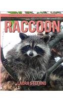 Raccoon