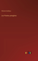 Les Plantes potagères