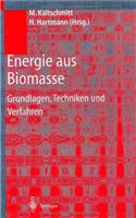 Energie Aus Biomasse