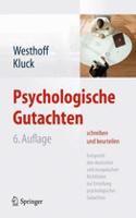 Psychologische Gutachten Schreiben Und Beurteilen