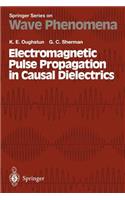 Electromagnetic Pulse Propagation in Casual Dielectrics