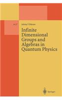 Infinite Dimensional Groups and Algebras in Quantum Physics