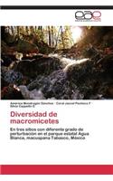 Diversidad de Macromicetes