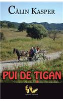 Pui de Tigan