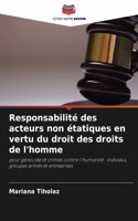 Responsabilité des acteurs non étatiques en vertu du droit des droits de l'homme