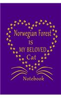 Norwegian Forest Is My Beloved Cat Notebook