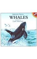 Whales (Picture Puffin Fact Books)