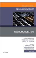 Neuromodulation, an Issue of Neurosurgery Clinics of North America, an Issue of Neurosurgery Clinics of North America: (30 Clinics: Surgery)