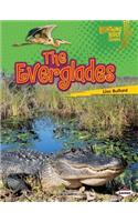 The Everglades