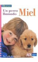 Spanish Iopeners Un Perro Llamado Miel Grade K 2006c