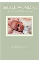 Small Wonder - the story of a child born too soon
