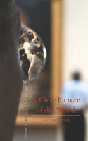 Clear Picture of the World