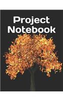 Project Notebook