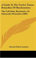 Guide To The Twelve Tissue Remedies Of Biochemistry