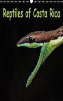 Reptiles of Costa Rica / UK-Version 2018