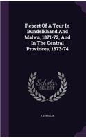 Report Of A Tour In Bundelkhand And Malwa, 1871-72, And In The Central Provinces, 1873-74