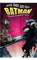 Batman Through The Looking Glass HC