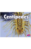 Centipedes