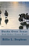 Ducks Over Texas