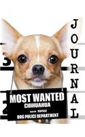 Most Wanted Chihuahua Journal