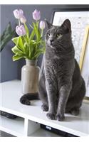 Elegant Gray Cat and a Vase of Purple Tulips Still Life Journal