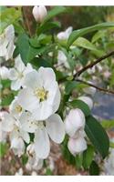 Journal Spring Flowering Tree Branch Full Bloom: (Notebook, Diary, Blank Book)